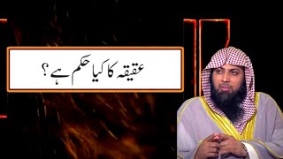 Aqeeqa Kya Hukam Hai   Aqeeqa Ka Tarika  Qari Suhaib Ahmed Meer Muhammadi 2019 [upl. by Lucais692]