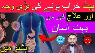 Bacillary Dysentery Disease Sign Symptoms Cause and Treatment in Pashto by Dr Mustaqeem [upl. by Aneele615]