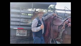 Chap Storage on Horse While Mounted [upl. by Tinya]