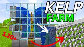 EFFICIENT And AUTOMATIC KELP Farm For Minecraft Java Unlimited Fual 120 Tutorial [upl. by Berna]