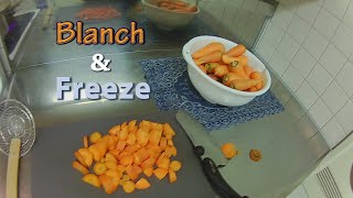 How to blanch and freeze carrots  Episode 56 [upl. by Audi]