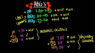 ABGs Arterial Blood Gas [upl. by Elaine]