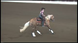 Jordan McBurney 2011 Classic NRHA Open [upl. by Ramor]