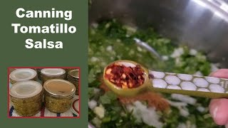 Tomatillo Salsa Canning Recipe  Canning Salsa Verde in the Nesco Smart Canner [upl. by Humbert692]