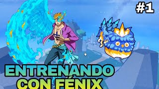 ENTRENANDO CON FENIX 1 [upl. by Nosredna]