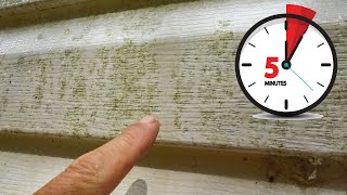 Cleaning House Siding Mold and Algae in Five Minutes [upl. by Alvin92]