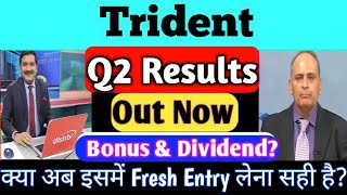 trident q2 results 2024 🔥trident share news  trident share latest news  trident share news today [upl. by Anilorac738]