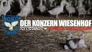 DER KONZERN WIESENHOF Entenmast  Unfähig aufzustehen  SOKO Tierschutz eV [upl. by Muriel]