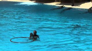 TENERIFE DOLPHIN SHOW  LORO PARQUE august 2011 part2 [upl. by Konopka]