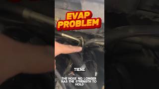 Evap autorepair mechanic mecanic tips automobile automechanic evap fordcars [upl. by Sessler]