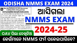 NMMS Exam 2024  Odisha NMMS Exam details Online apply last date [upl. by Adamo839]