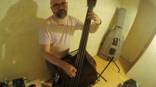 Double Bass  Thomann 111 [upl. by Robison574]