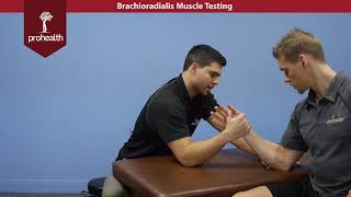 Brachioradialis Muscle Test Palpation Dr Vizniak Muscle Manual [upl. by Isabella]