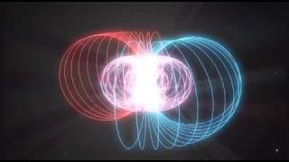 Torus  Magnetic Fields  Embedded Vortex Visualisation [upl. by Inal]