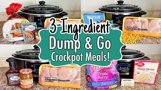 6 DUMP amp GO CROCKPOT DINNERS  The BEST Quick amp EASY 3INGREDIENT Slow Cooker Meals  Julia Pacheco [upl. by Pacificia]