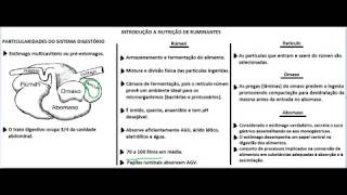 SISTEMA DIGESTIVO RUMINANTE  NUTRIÇÃO DE RUMINANTES [upl. by Issiah]