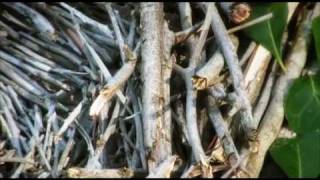 Land art documentary  Australian land art [upl. by Lajib897]