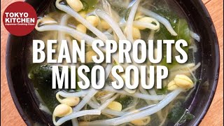 HOW TO MAKE BEAN SPROUT MISO SOUP  Easy Quick and Healthy Soup you can whip up in no time [upl. by Aihsened919]