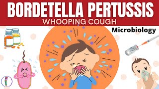 Whooping cough  Bordetella pertussis  All you need to know [upl. by Enelahs491]