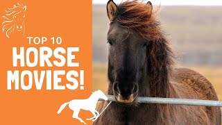 Top 10 BEST Horse Movies of all Time  Voted By Equestrians [upl. by Hayarahs]