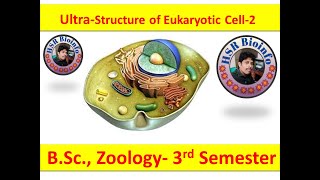 Ultra structure of eukaryotic cell2  BSc Zoology3rd Semester HSR Bioinfo [upl. by Htebyram]