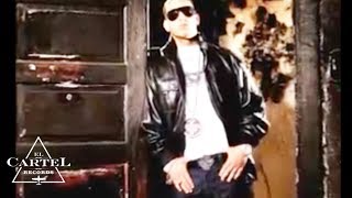 Daddy Yankee  Los Buenos Tiempos Audio Oficial [upl. by Fredek166]