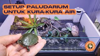 MEMBUAT PALUDARIUM UNTUK KURAKURA AIR PICTA PICTA [upl. by Yrekaz210]