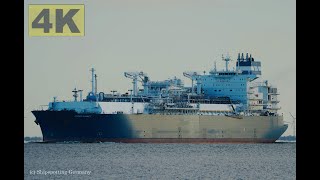 HOEGH GANNET  Shipspotting Germany 🇩🇪 IMO 9822451  River Elbe near City Otterndorf  4K VIDEO [upl. by Laris]