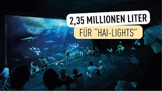 So spektakulär wird unser neues Aquarium I Tiergarten Schönbrunn [upl. by Eislrahc]