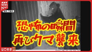 クマが再び空き家を襲撃！壁を破壊する瞬間をカメラが捉えた  下関市 [upl. by Relyc]