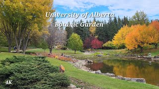 University of Alberta Botanic Garden  Start of Fall Season [upl. by Ihtak]