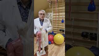 Neuro muscle osteoarticular diseases cj anatomy pain romania cluj shorts usa europe [upl. by Aikin]