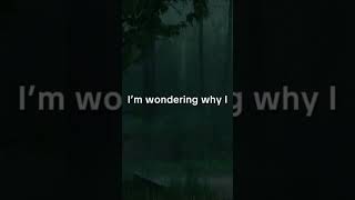 Stan by Eminem lyrics headphones recommended music hiphop rap artist americanrapper eminem [upl. by Enyak]