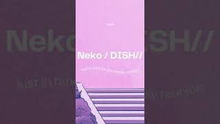 Neko  dish cover ねこ ネコ 猫 cover coversong [upl. by Atikahs]