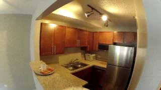 Streeterville Chicago Apartments  Axis  Convertible  Apt 1401  GoPro Tour [upl. by Jameson]