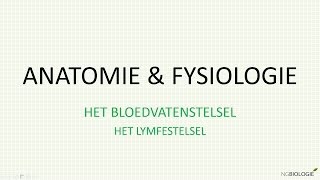 Het lymfestelsel [upl. by Wise]