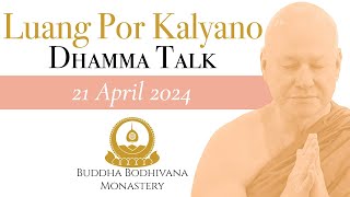 Uncovering The Naturally Radiant Mind by Tan Ajahn Kalyano 21 April 2024 [upl. by Maher312]