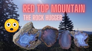 Red Top Mountain WA finding blue grey agates and a giant geode 😲🤘 realrockhounding [upl. by Enicul625]