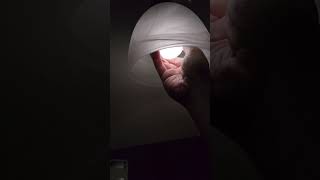 LED Lightbulb Ghost Voltage 20241114 [upl. by Anul]