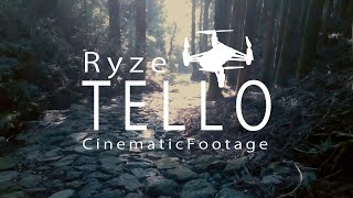 DJI Ryze Tello Cinema 26 [upl. by Nabi602]