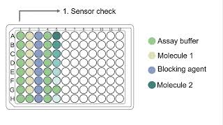 Biolayer interferometry [upl. by Whitcomb]