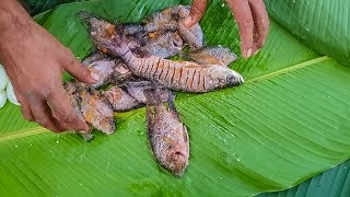 Receta de Pescado al Estilo Maya Pesca y Cocina [upl. by Meredithe]