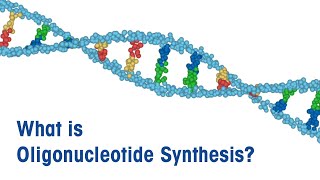 What is Oligonucleotide Synthesis [upl. by Laraine]