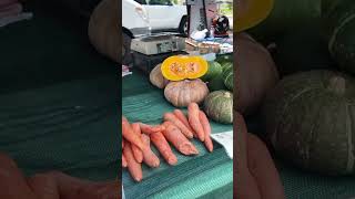 Veggies Stand at ICOT Market Tampa Florida USA [upl. by Naujyt31]