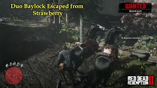 Red Dead Redemption 2  Duo Baylock Escaped from Strawberry RDR2 Badass Black Missouri Fox Trotter [upl. by Bevers]