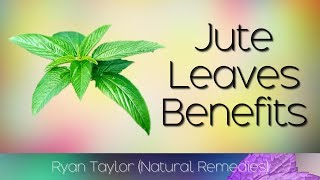 Jute Leaves Benefits amp Uses Saluyot [upl. by Donald]