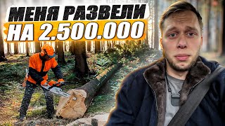 Сколько стоит расчистка участка от деревьев  KRUssia 145 [upl. by Ainala925]