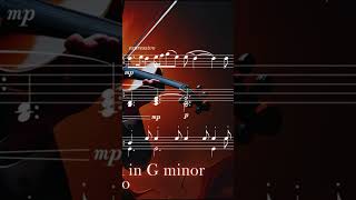 Tartini Devils Trill Sonata Graphical Notation  Larghetto violin classicalmusic tartini [upl. by Akimot]