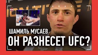 ШАМИЛЬ МУСАЕВ после победы нокаутом quotUFC Полусредневесы в PFL сильнееquot  Мусаев VS Умалатов [upl. by Neyuh863]