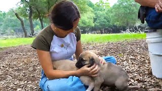 Maya gets AMBUSHED by puppies at the farm [upl. by Pembroke]